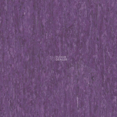 Tarkett iq Optima LILCA 0256 фото 1 | FLOORDEALER